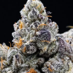 LA Pop Rockz cannabis flower featuring dense trichome-covered buds with sweet candy gas terpenes available through Exotic Blooms Washington DC cannabis delivery
