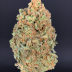 MAC N Jack cannabis flower featuring MAC 1 x Jack Herer genetics with dense trichome coverage, loud pine citrus terpenes, and balanced hybrid effects available through Exotic Blooms Washington DC weed delivery
