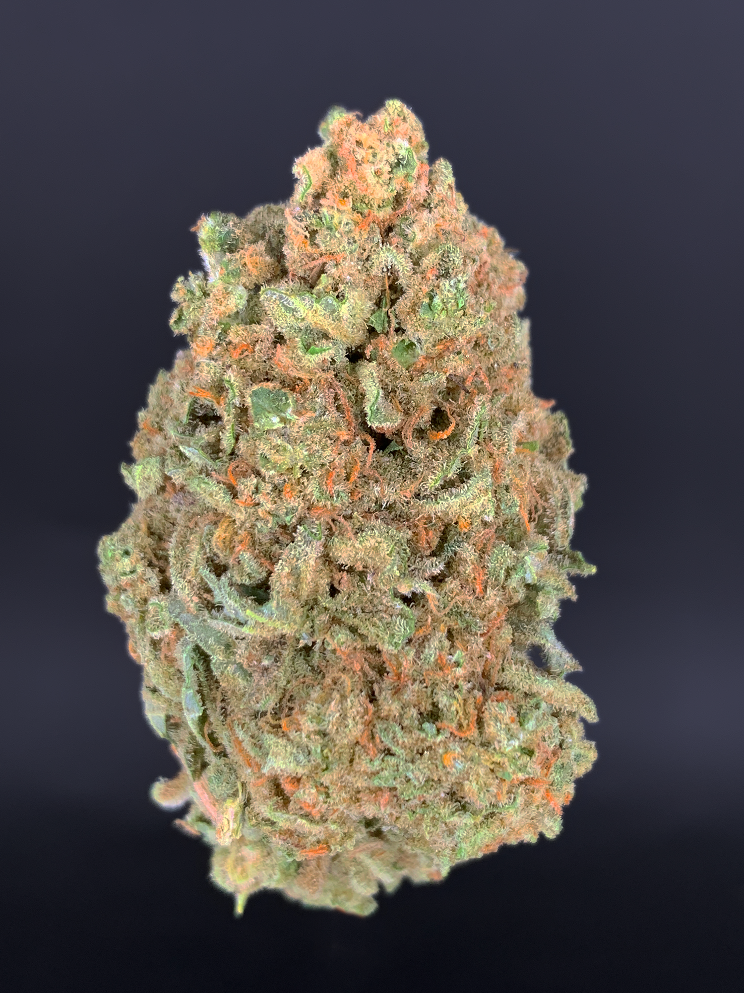 MAC N Jack cannabis flower featuring MAC 1 x Jack Herer genetics with dense trichome coverage, loud pine citrus terpenes, and balanced hybrid effects available through Exotic Blooms Washington DC weed delivery
