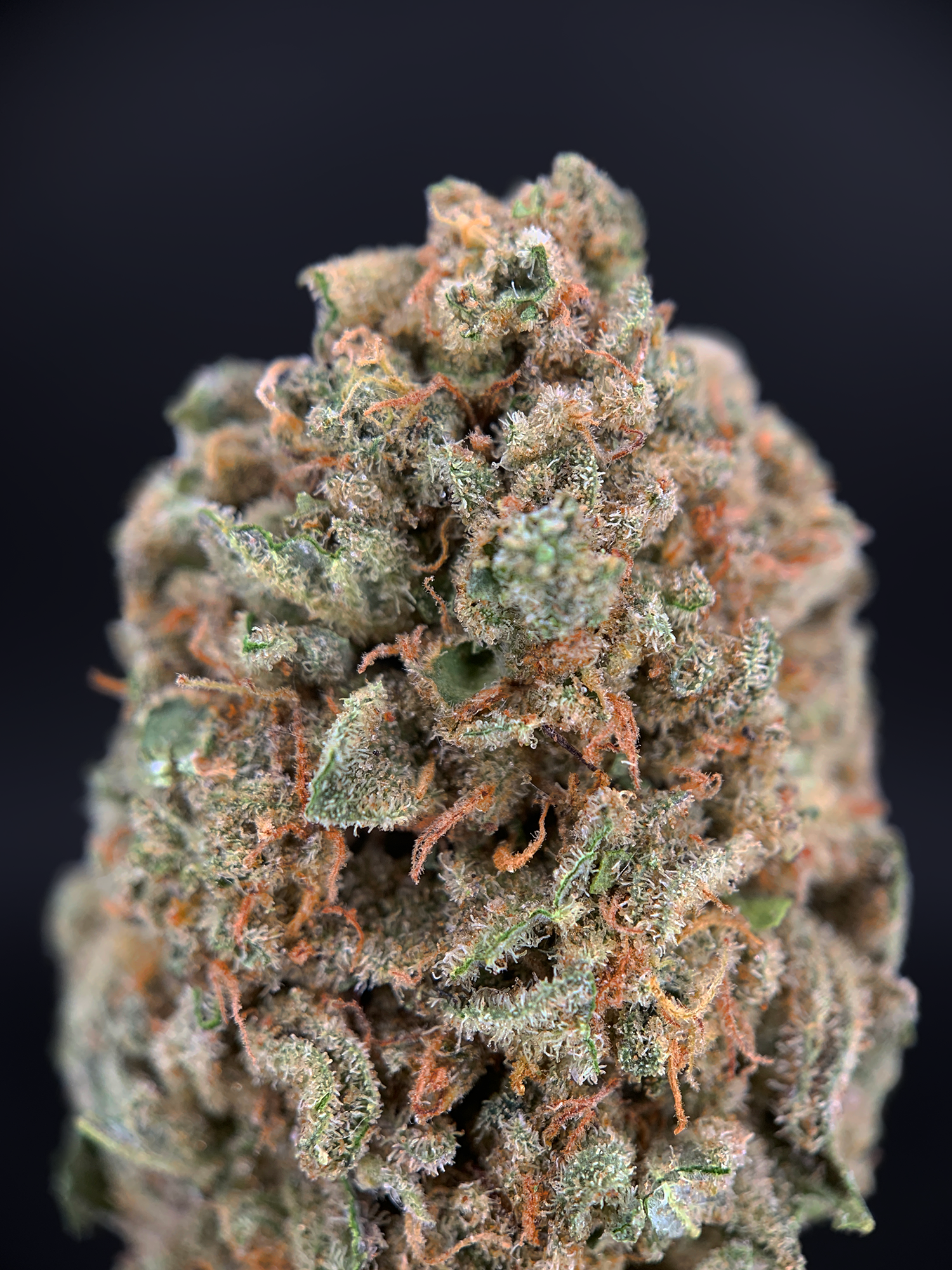 MAC N Jack cannabis flower featuring MAC 1 x Jack Herer genetics with dense trichome coverage, loud pine citrus terpenes, and balanced hybrid effects available through Exotic Blooms Washington DC weed delivery