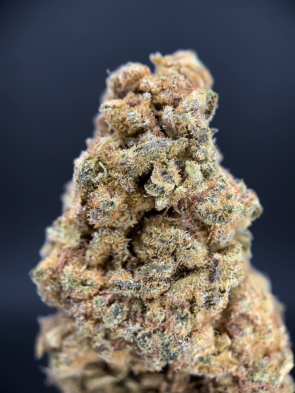 Mandarin Cookies Flash OZ Deal indoor cannabis flower featuring Cookies and Mandarin Sunset genetics available through Exotic Blooms Washington DC delivery.