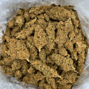 Mandarin Cookies Flash OZ Deal indoor cannabis flower featuring Cookies and Mandarin Sunset genetics available through Exotic Blooms Washington DC delivery.