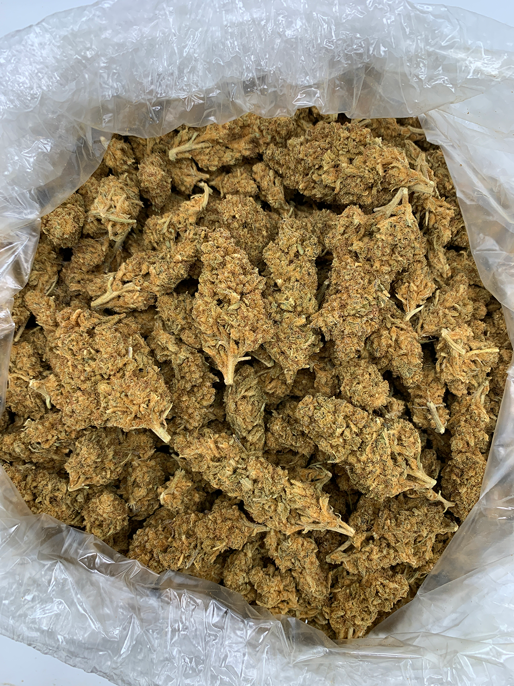 Mandarin Cookies Flash OZ Deal indoor cannabis flower featuring Cookies and Mandarin Sunset genetics available through Exotic Blooms Washington DC delivery.