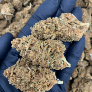 Mandarin Cookies Flash OZ Deal indoor cannabis flower featuring Cookies and Mandarin Sunset genetics available through Exotic Blooms Washington DC delivery.