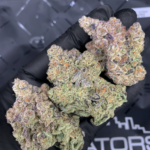 Mile High Slurpee by G3 Cultivators Super Rare cannabis flower featuring Grape Pie and Slurricane genetics with grape candy terpenes available for Washington DC cannabis delivery.