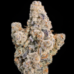 Mile High Slurpee by G3 Cultivators Super Rare cannabis flower featuring Grape Pie and Slurricane genetics with grape candy terpenes available for Washington DC cannabis delivery.