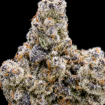 Mile High Slurpee by G3 Cultivators Super Rare cannabis flower featuring Grape Pie and Slurricane genetics with grape candy terpenes available for Washington DC cannabis delivery.
