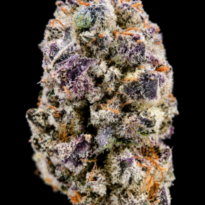 Pink Lemonade by G3 Cultivators Super Rare sativa flower featuring sweet citrus terpenes and 28 percent plus THC at Exotic Blooms Washington DC