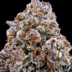 Pink Lemonade by G3 Cultivators Super Rare sativa flower featuring sweet citrus terpenes and 28 percent plus THC at Exotic Blooms Washington DC