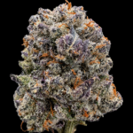 Pink Lemonade by G3 Cultivators Super Rare sativa flower featuring sweet citrus terpenes and 28 percent plus THC at Exotic Blooms Washington DC