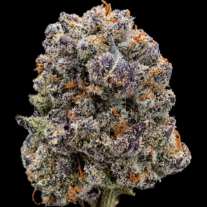 Pink Lemonade by G3 Cultivators Super Rare sativa flower featuring sweet citrus terpenes and 28 percent plus THC at Exotic Blooms Washington DC