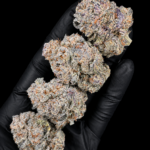 Pink Lemonade by G3 Cultivators Super Rare sativa flower featuring sweet citrus terpenes and 28 percent plus THC at Exotic Blooms Washington DC