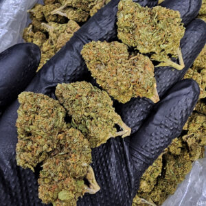 Platinum Valley hybrid cannabis flower 24%+ THC available from Exotic Blooms in Washington DC Virginia Maryland and Richmond VA