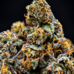 Purple Chemdawg by G3 Cultivators Super Rare indica-leaning hybrid cannabis flower featuring diesel, grape, earthy kush, and 30 percent plus THC at Exotic Blooms Washington DC