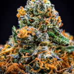 Purple Chemdawg by G3 Cultivators Super Rare indica-leaning hybrid cannabis flower featuring diesel, grape, earthy kush, and 30 percent plus THC at Exotic Blooms Washington DC