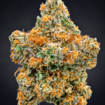Purple Chemdawg by G3 Cultivators Super Rare indica-leaning hybrid cannabis flower featuring diesel, grape, earthy kush, and 30 percent plus THC at Exotic Blooms Washington DC