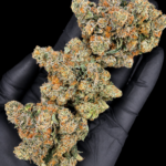 Purple Chemdawg by G3 Cultivators Super Rare indica-leaning hybrid cannabis flower featuring diesel, grape, earthy kush, and 30 percent plus THC at Exotic Blooms Washington DC