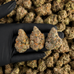 Red Sharpie by G3 Cultivators featuring dense trichome-covered buds with loud gas terpenes available through Exotic Blooms Washington DC cannabis delivery