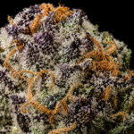 Red Sharpie by G3 Cultivators featuring dense trichome-covered buds with loud gas terpenes available through Exotic Blooms Washington DC cannabis delivery