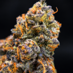 Red Sharpie by G3 Cultivators featuring dense trichome-covered buds with loud gas terpenes available through Exotic Blooms Washington DC cannabis delivery