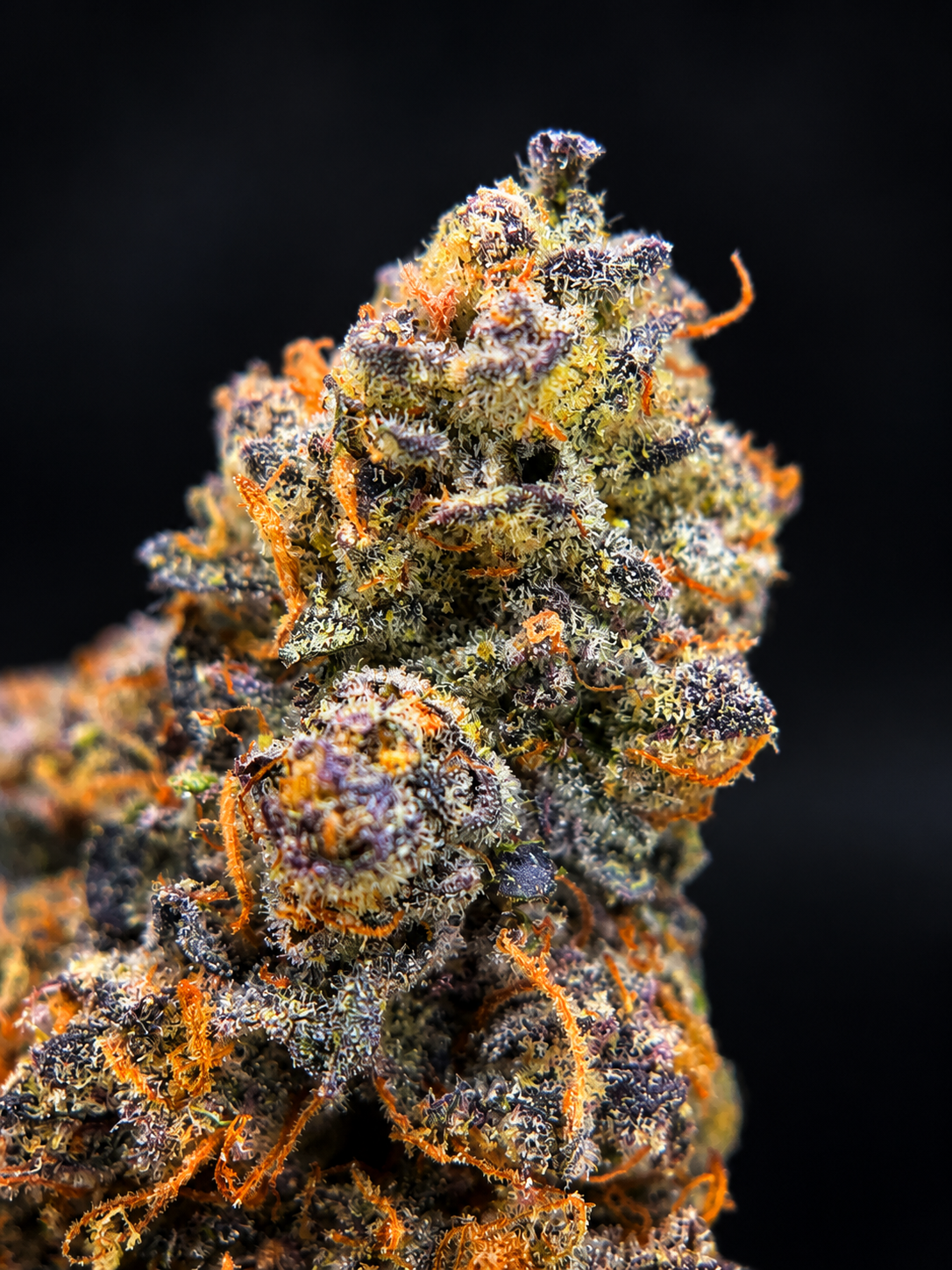 Red Sharpie by G3 Cultivators featuring dense trichome-covered buds with loud gas terpenes available through Exotic Blooms Washington DC cannabis delivery