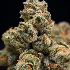 The ONE OG by West Coast Cure and G3 Cultivators featuring fresh April 2026 harvested OG flower with dense trichome coverage and loud classic gas terpenes available through Exotic Blooms Washington DC cannabis delivery