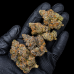 Blue Nerdz Exclusive Designer cannabis flower featuring sweet gas, blueberries, Granny Smith apple, tropical melon, and 26–29% THC at Exotic Blooms