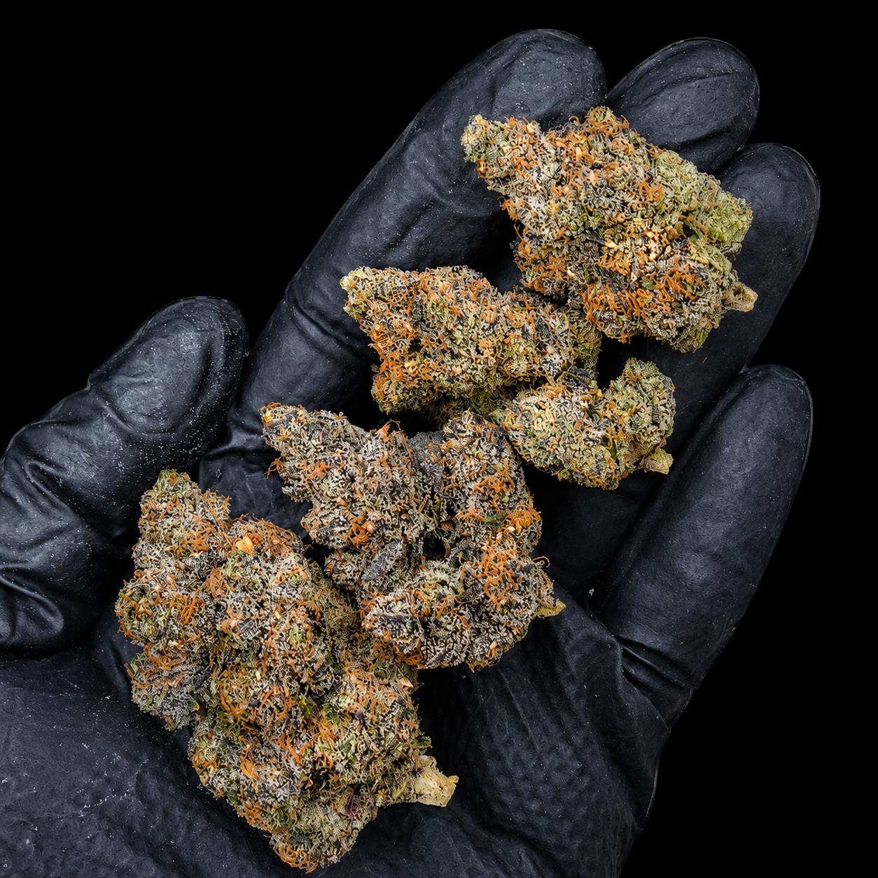 Blue Nerdz Exclusive Designer cannabis flower featuring sweet gas, blueberries, Granny Smith apple, tropical melon, and 26–29% THC at Exotic Blooms