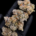 Blue Nerdz Exclusive Designer cannabis flower featuring sweet gas, blueberries, Granny Smith apple, tropical melon, and 26–29% THC at Exotic Blooms