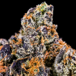 Blue Nerdz Exclusive Designer cannabis flower featuring sweet gas, blueberries, Granny Smith apple, tropical melon, and 26–29% THC at Exotic Blooms