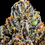 Blue Nerdz Exclusive Designer cannabis flower featuring sweet gas, blueberries, Granny Smith apple, tropical melon, and 26–29% THC at Exotic Blooms