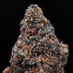 Candy Candy Sativa Hybrid 29-31% THC cannabis flower Exotic Blooms Washington DC Virginia Maryland Richmond VA