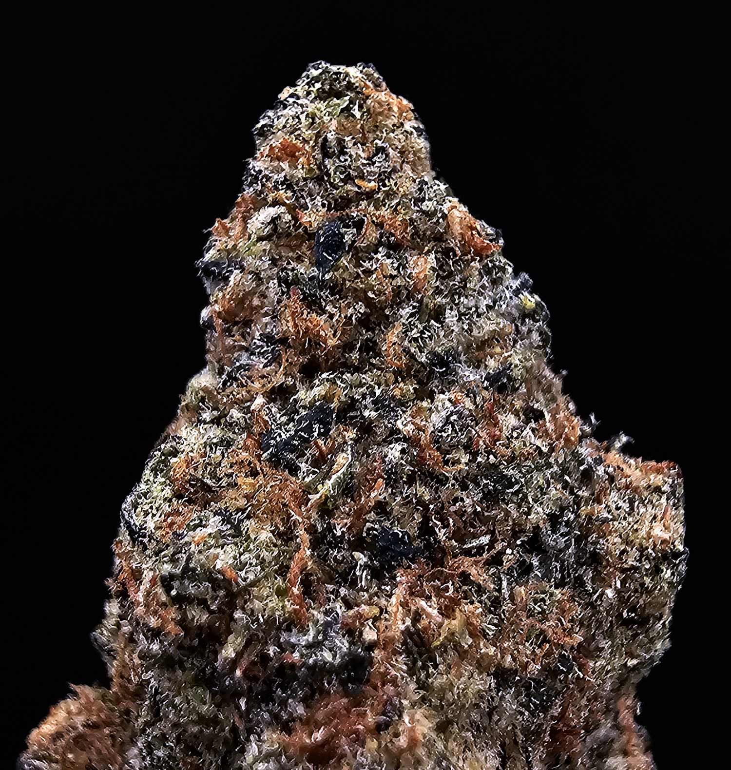 Candy Candy Sativa Hybrid 29-31% THC cannabis flower Exotic Blooms Washington DC Virginia Maryland Richmond VA
