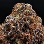 Devil Runtz Sativa flower with 29–31% THC available from Exotic Blooms for Washington DC, Virginia, Maryland, and Richmond VA weed delivery.