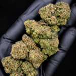 Lemon Cherry Nerdz Private Reserve indica-dominant cannabis flower featuring sweet gas, lemon candy, cherry syrup, Blue Nerdz genetics, and 32 to 35 percent THC at Exotic Blooms