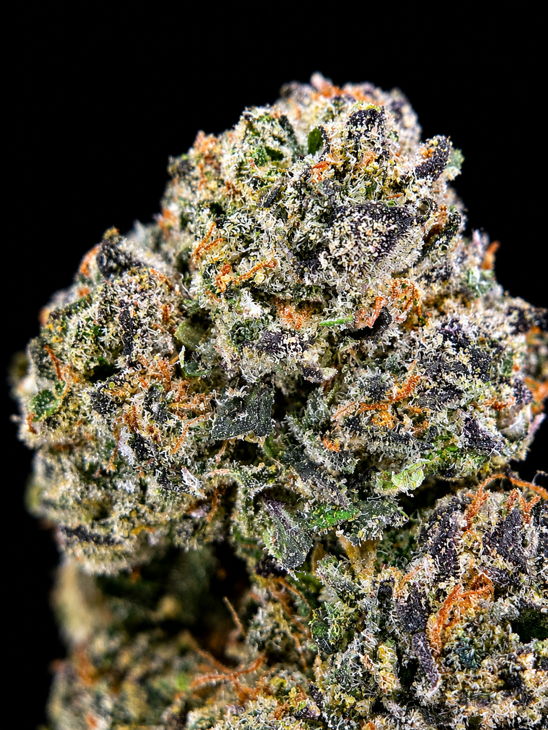 Lemon Cherry Nerdz Private Reserve indica-dominant cannabis flower featuring sweet gas, lemon candy, cherry syrup, Blue Nerdz genetics, and 32 to 35 percent THC at Exotic Blooms