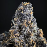 Mendocino Cherries Indica-Dominant Hybrid 30%+ THC cannabis flower Exotic Blooms Washington DC Virginia Maryland Richmond VA