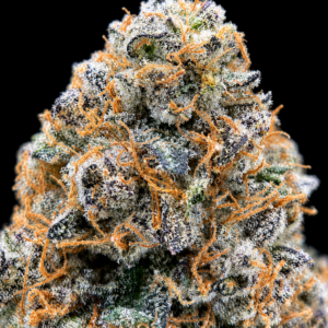 NOS by G3 Cultivators Super Rare balanced hybrid cannabis flower testing at 32.19%+ THC. Rare California boutique genetics featuring dense trichome-covered buds with sweet fuel, citrus, and creamy terpene notes.