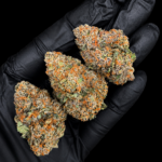 NOS by G3 Cultivators Super Rare balanced hybrid cannabis flower testing at 32.19%+ THC. Rare California boutique genetics featuring dense trichome-covered buds with sweet fuel, citrus, and creamy terpene notes.