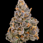 Smurf Berry by G3 Cultivators Super Rare indica-dominant cannabis flower testing at 33%+ THC. Rare California boutique genetics with dense trichome-covered buds, blueberry candy terpenes, and exceptional resin production.
