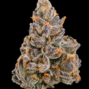 Smurf Berry by G3 Cultivators Super Rare indica-dominant cannabis flower testing at 33%+ THC. Rare California boutique genetics with dense trichome-covered buds, blueberry candy terpenes, and exceptional resin production.