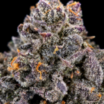 Smurf Berry by G3 Cultivators Super Rare indica-dominant cannabis flower testing at 33%+ THC. Rare California boutique genetics with dense trichome-covered buds, blueberry candy terpenes, and exceptional resin production.