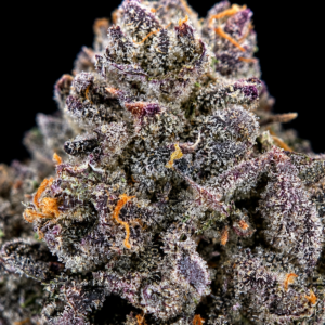 Smurf Berry by G3 Cultivators Super Rare indica-dominant cannabis flower testing at 33%+ THC. Rare California boutique genetics with dense trichome-covered buds, blueberry candy terpenes, and exceptional resin production.