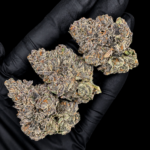 Smurf Berry by G3 Cultivators Super Rare indica-dominant cannabis flower testing at 33%+ THC. Rare California boutique genetics with dense trichome-covered buds, blueberry candy terpenes, and exceptional resin production.