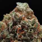Super Silver Jack Sativa-Dominant Hybrid flower with approximately 28% THC available from Exotic Blooms for weed delivery in Washington DC, Virginia, Maryland, and Richmond VA.
