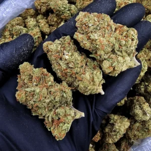 Super Silver Jack Sativa-Dominant Hybrid flower with approximately 28% THC available from Exotic Blooms for weed delivery in Washington DC, Virginia, Maryland, and Richmond VA.