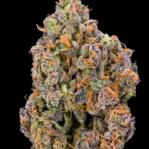 Tropical Milk by G3 Cultivators Super Rare balanced hybrid cannabis flower testing at 33%+ THC. California boutique flower featuring dense trichome-covered buds with tropical fruit, creamy vanilla, and sweet milk aromas available at Exotic Blooms.