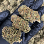 Cherry Punch Flash OZ Deal indoor cannabis flower featuring Cherry AK-47 and Purple Punch genetics available through Exotic Blooms Washington DC cannabis delivery.