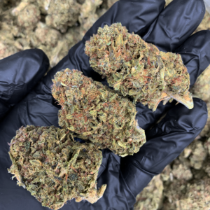 Cherry Punch Flash OZ Deal indoor cannabis flower featuring Cherry AK-47 and Purple Punch genetics available through Exotic Blooms Washington DC cannabis delivery.