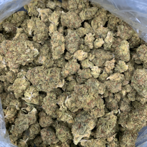 Cherry Punch Flash OZ Deal indoor cannabis flower featuring Cherry AK-47 and Purple Punch genetics available through Exotic Blooms Washington DC cannabis delivery.